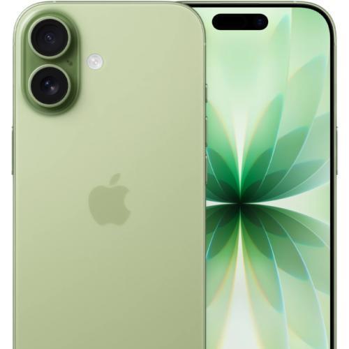 Смартфон Apple iPhone 17 256Gb eSim (Sage)